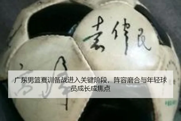 广东男篮夏训备战进入关键阶段，阵容磨合与年轻球员成长成焦点